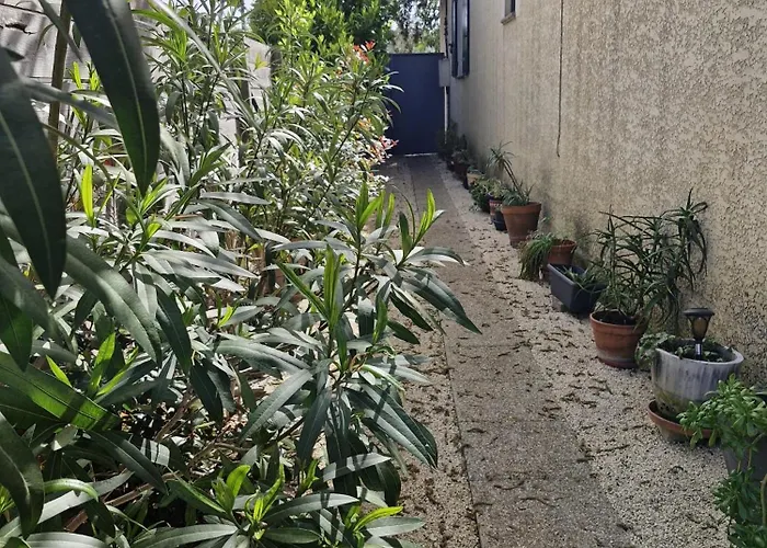 Maison Aux Portes Des Garrigues Holiday home